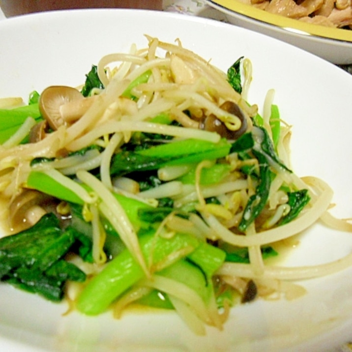 もやしと小松菜のオイスターソース炒め レシピ 作り方 By ミスチバス 楽天レシピ もやしと小松菜のオイスターソース炒め レシピ 作り方 By ミスチバス 楽天レシピ